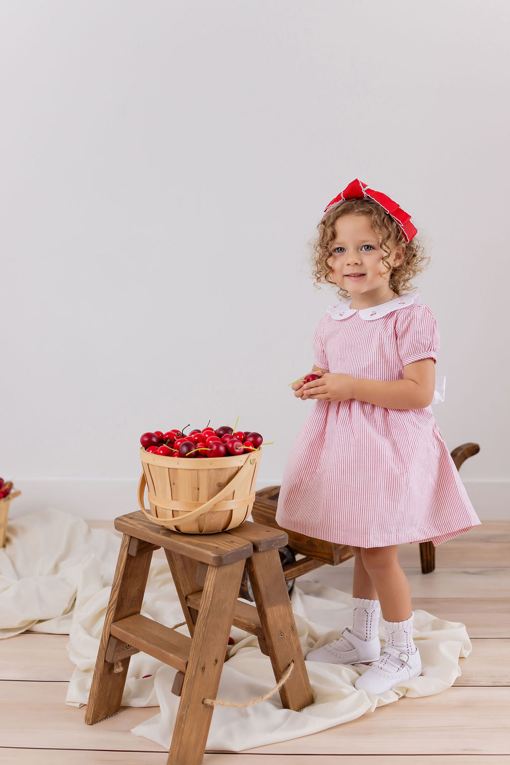 CERISE EMBROIDERED STRIPE DRESS