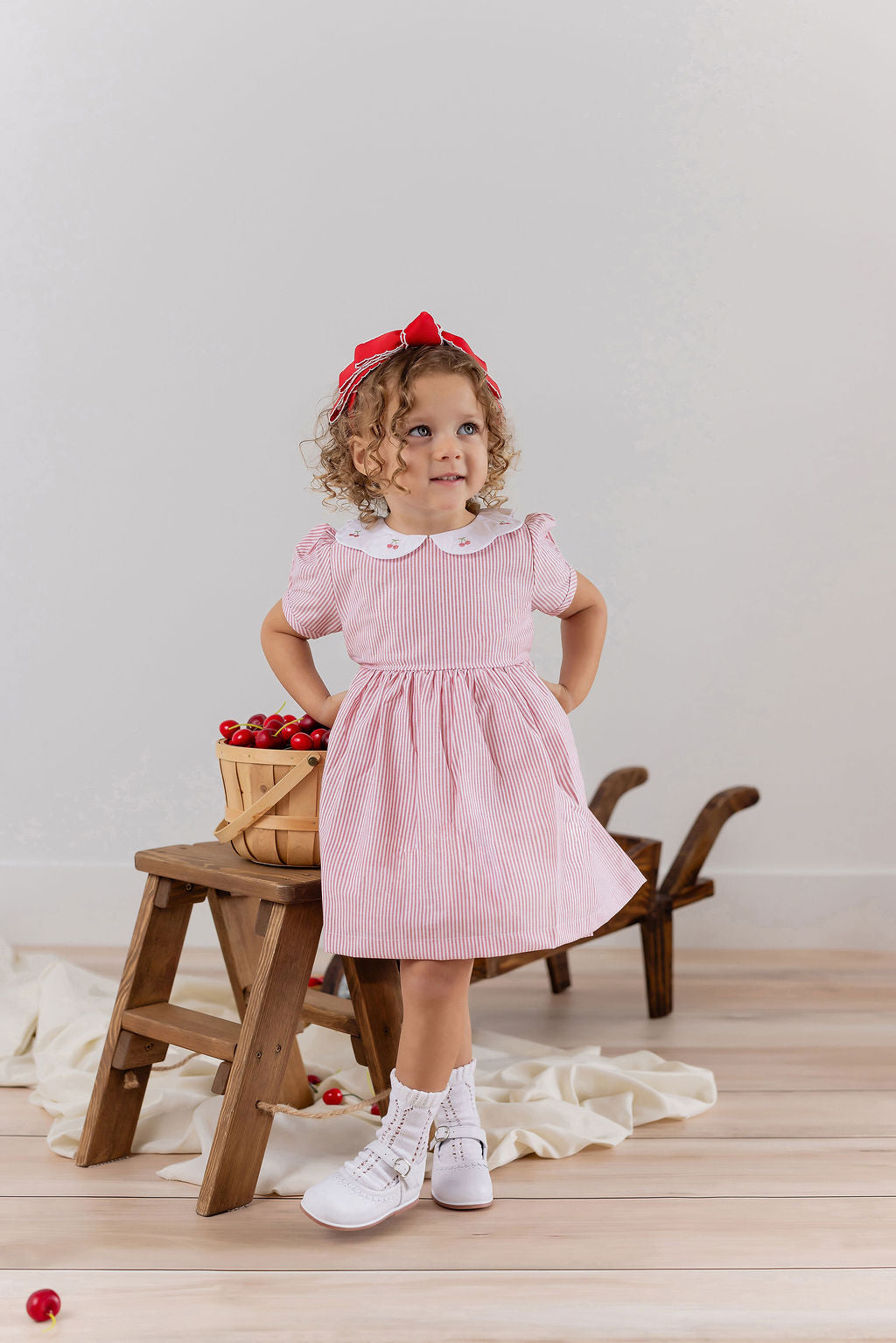 CERISE EMBROIDERED STRIPE DRESS